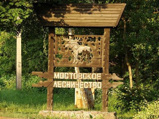Way to Neman and dendropark, Мосты