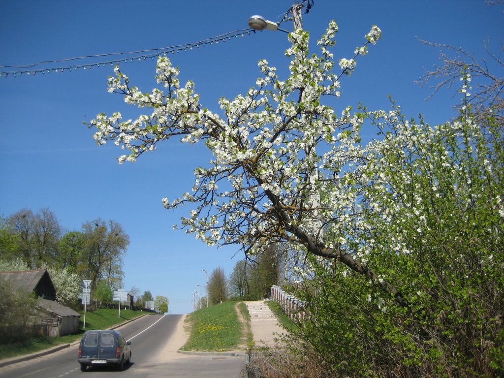 Весна, Ошмяны