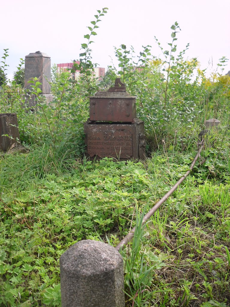 Старая польская могила, Слоним