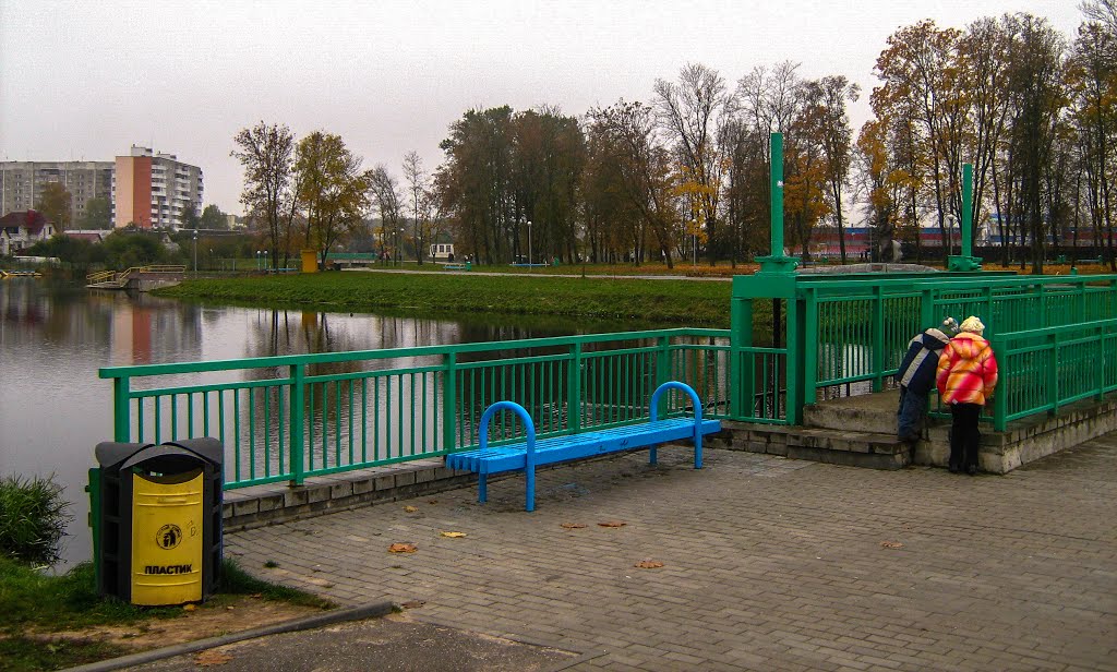 Масток з грэбляй на гарадскім азярцы (Small bridge with a dam  on city pond), Сморгонь
