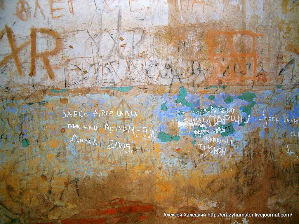 Надписи внутри усадьбы Потоцких, Березино
