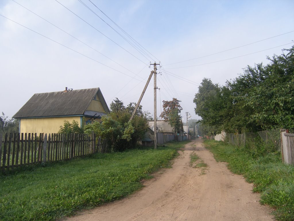 podolskaya street, Бобр