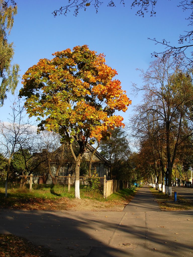 Осень в октябре, Вилейка