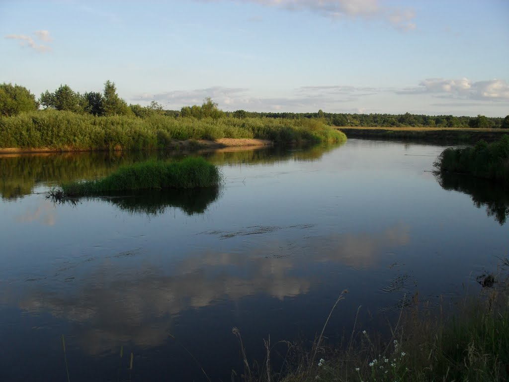 Река Вилия, Вилейка