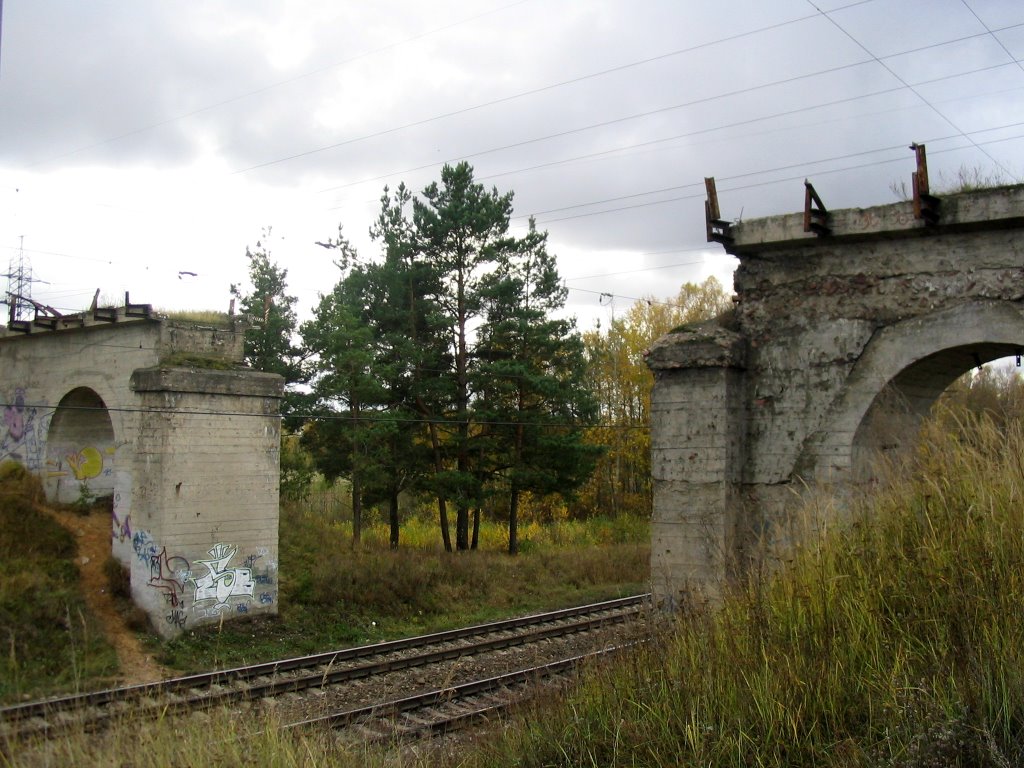 Руины моста старой узкоколейки, Жодино