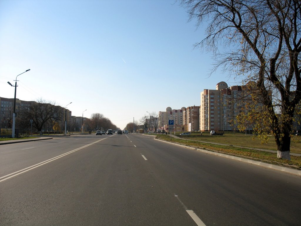 Дорога на Минск, Жодино