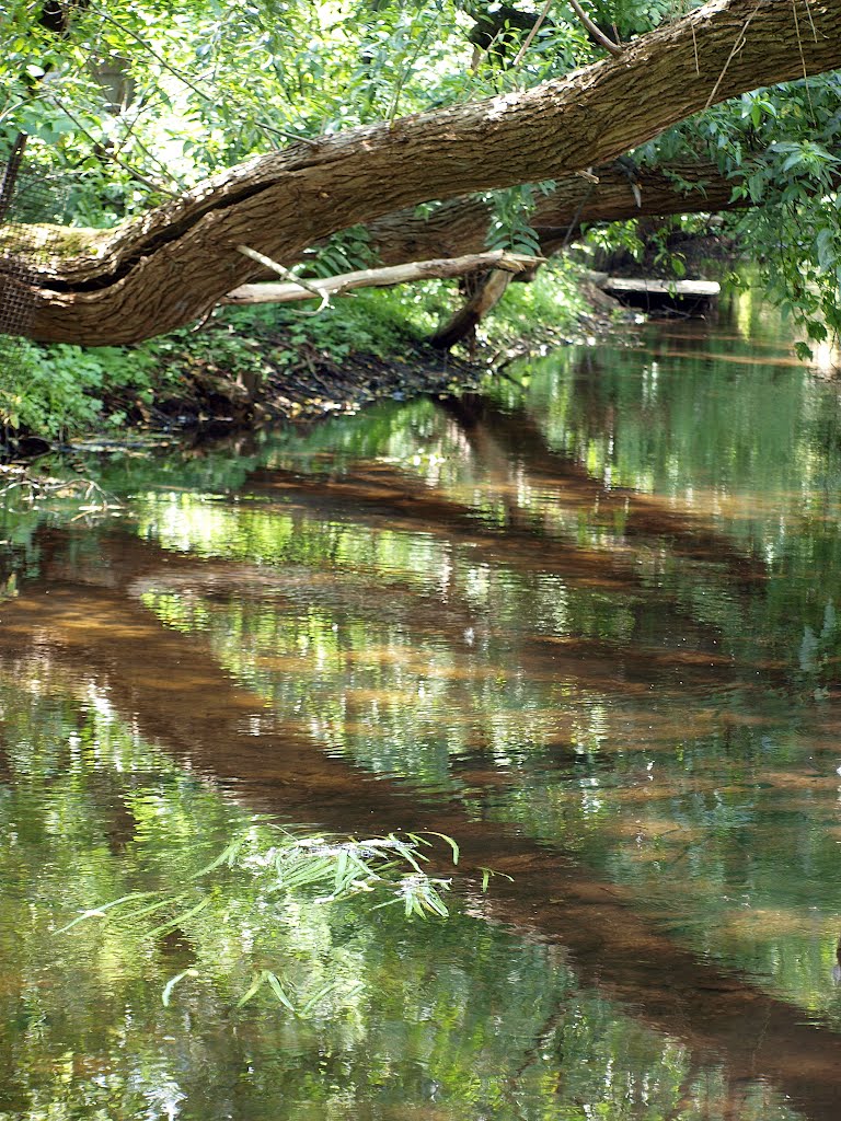 Река. Отражение / River. Reflection, Заславль
