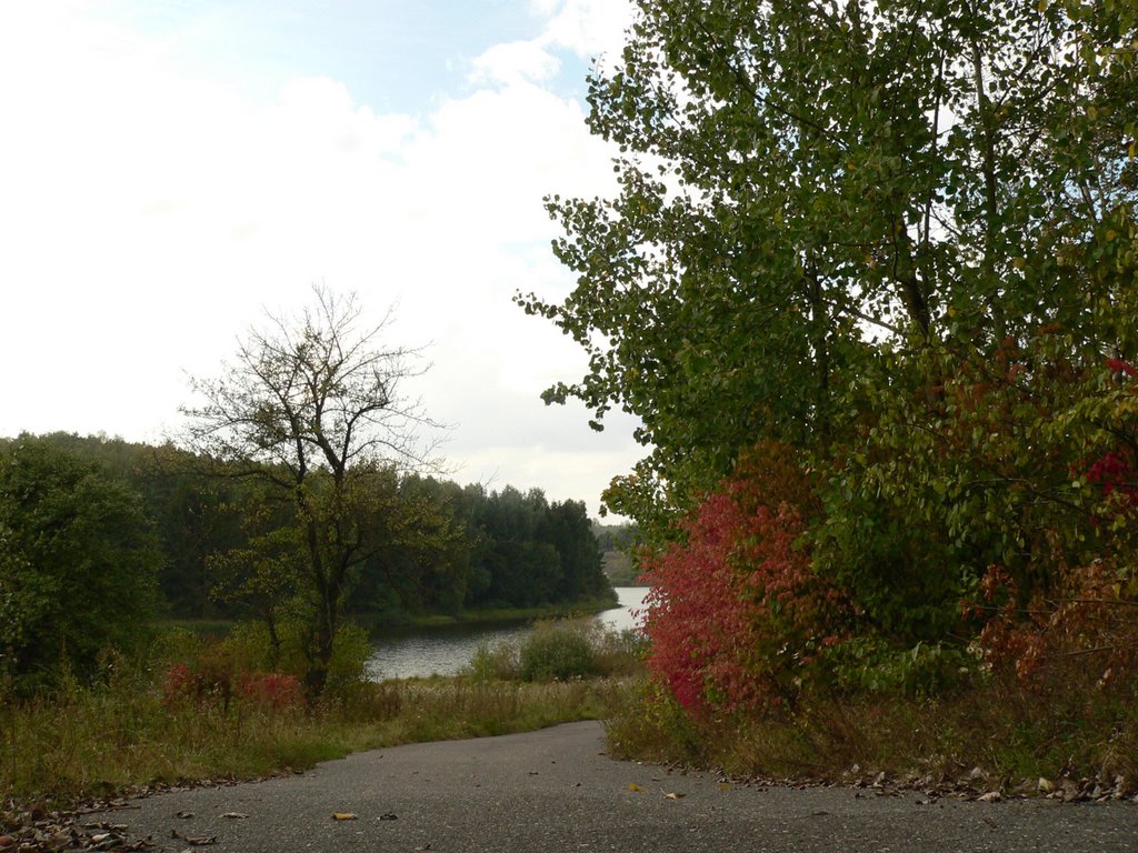 Дорожка у озера. Осень 2007., Копыль