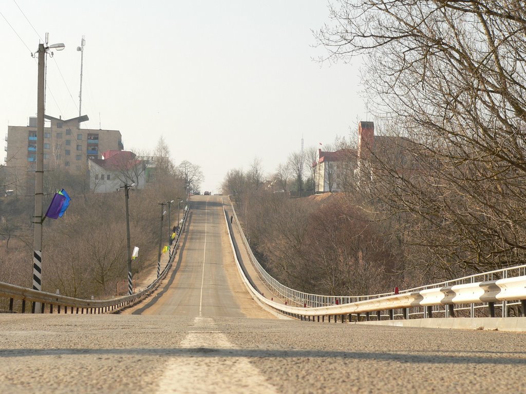 Дорога, проложенная по дамбе между прудами. 2008 год, март, 8-е..., Копыль