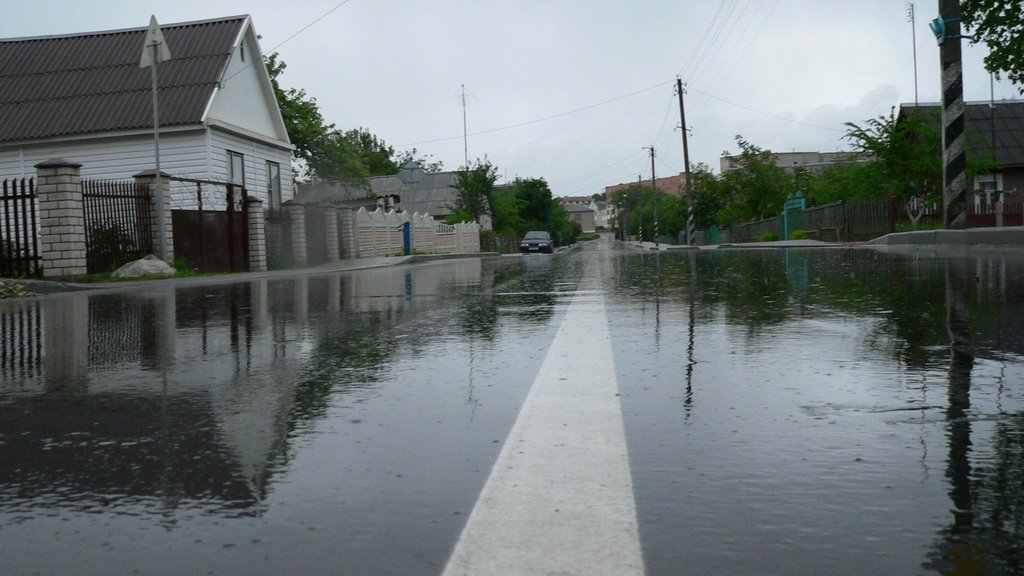 Дождь. 22 мая 2009 года, Копыль