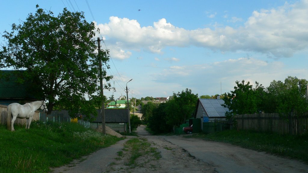 Улица окраины, Копыль