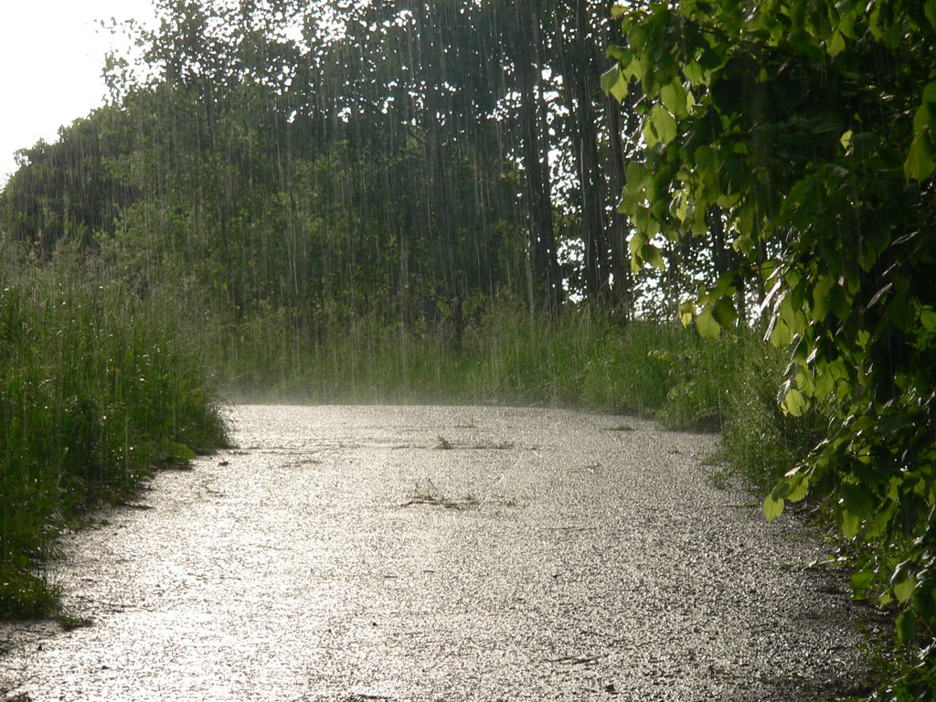 Дождь, Копыль