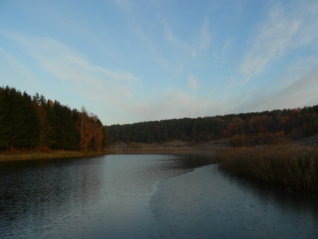 Пруд на реке Мажа. Ноябрь 2009 года., Копыль