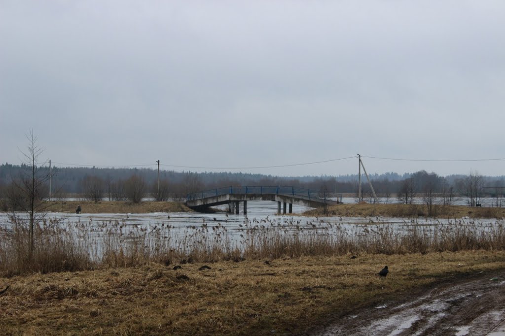 Мост через реку Бобр, Крупки