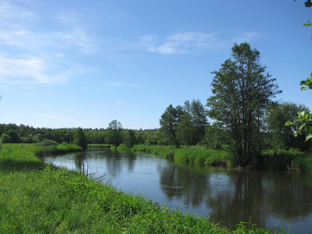 Bobr river downstream Krupki, Крупки
