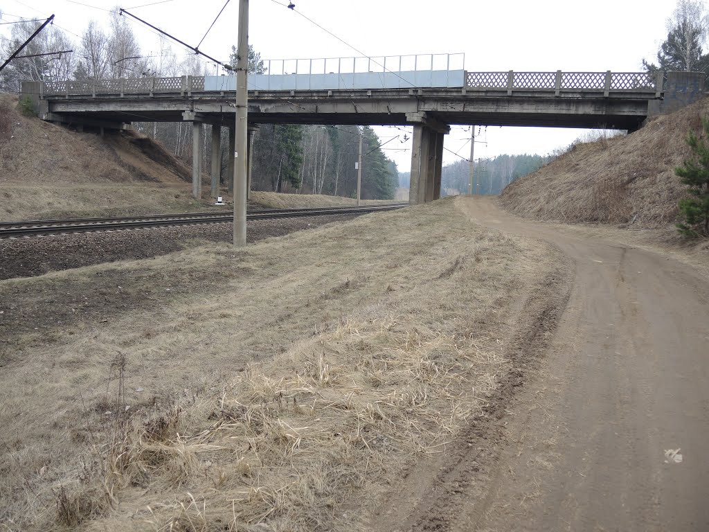 Мост между станциями Степянка и Озерище, Пинск