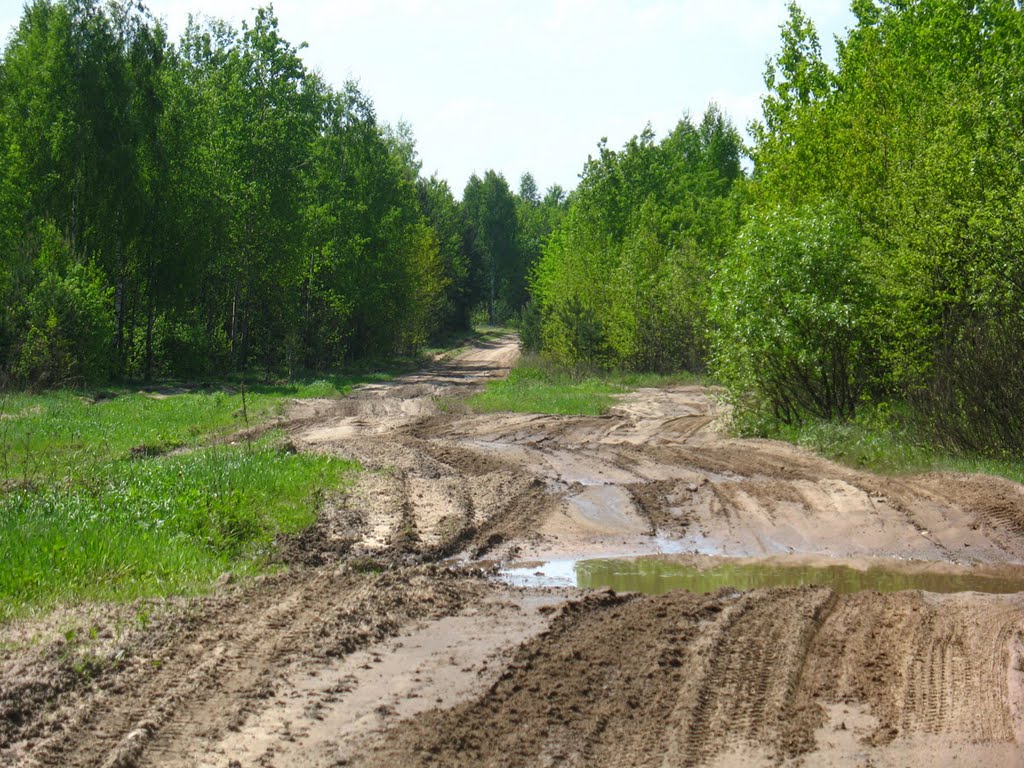 Dirty Road Near Miensk, Пинск
