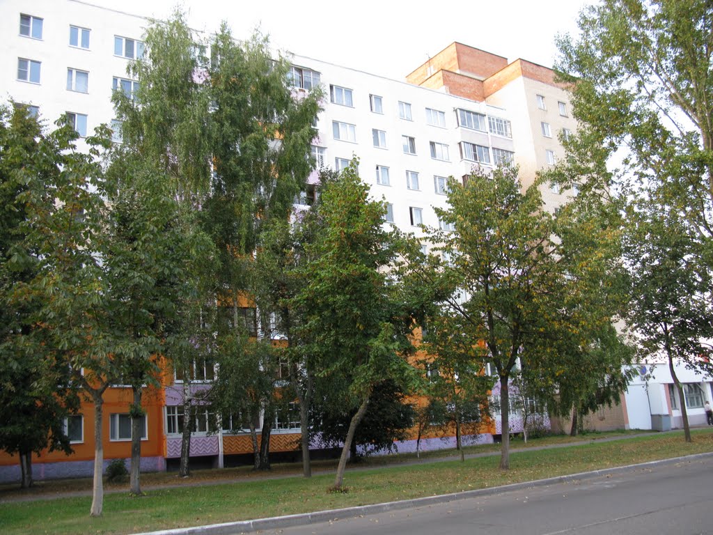 in Lesnaya-street, Солигорск