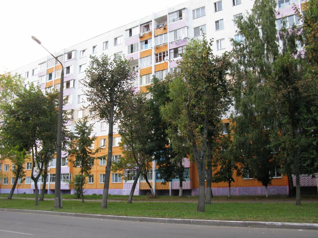 in Lesnaya-street, Солигорск