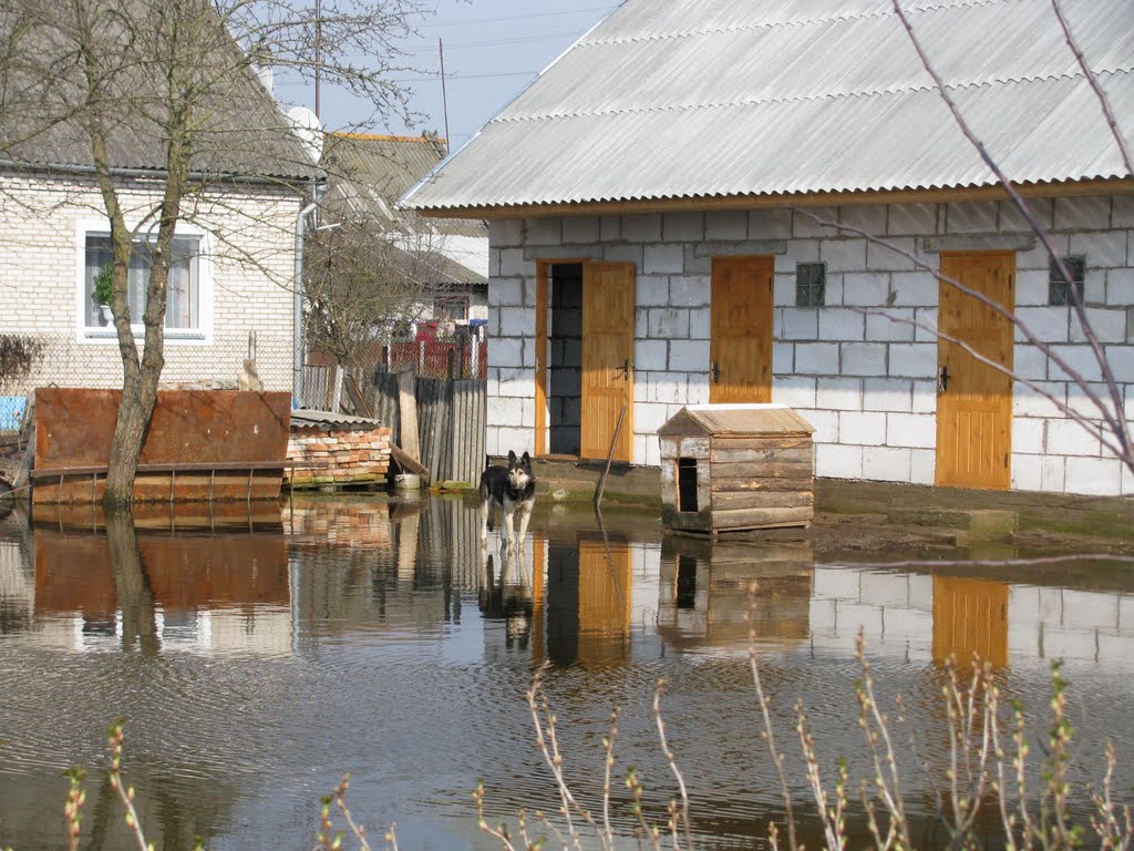 Spring high water in Stoubtsy (2010), Столбцы