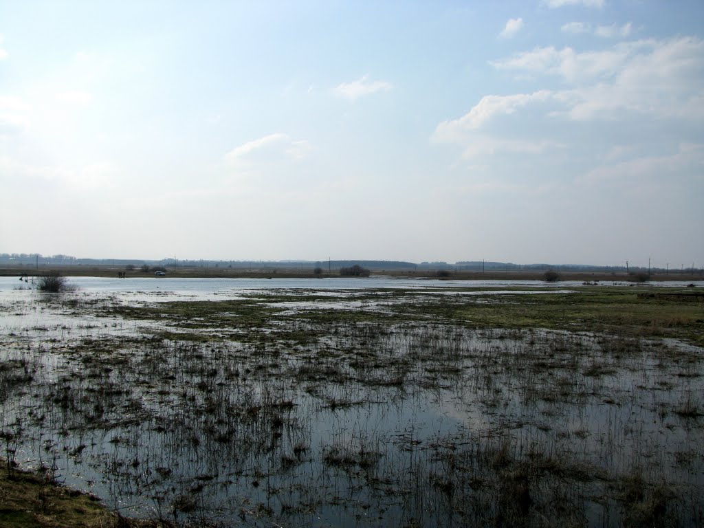 Njoman river in spring 2010, Столбцы