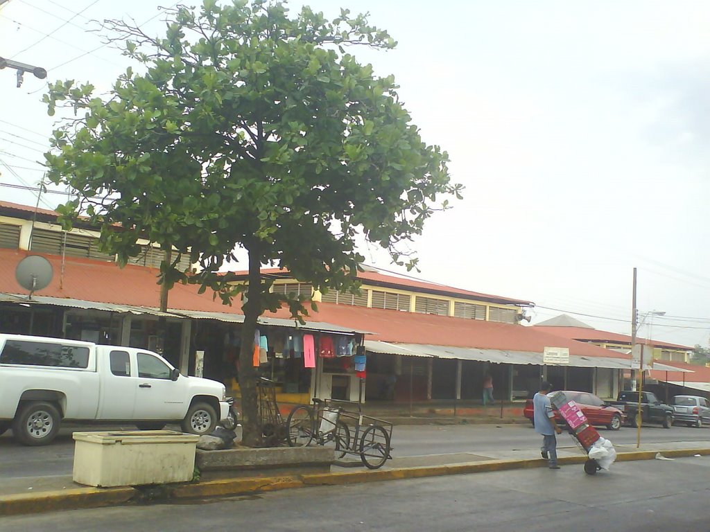 Mercado Vicente Obregon, Акаюкан