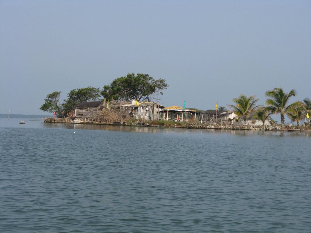 Isla en el Rio Papaloapan, Alvarado Ver., Альварадо