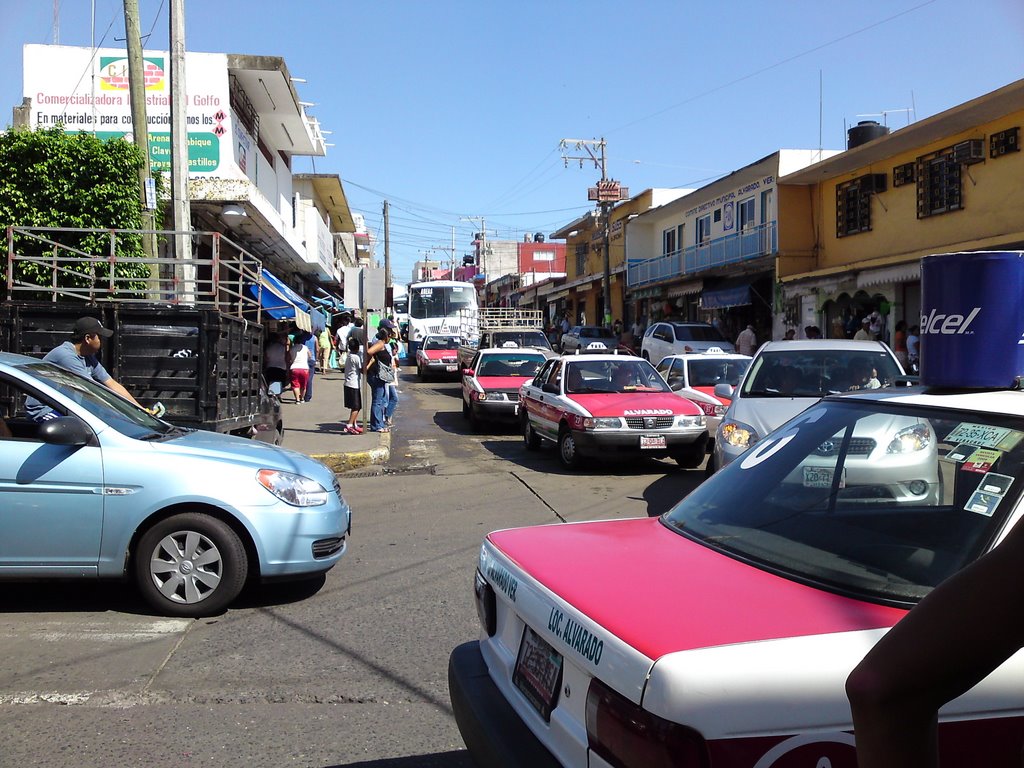 Mercado 20 de Noviembre, Альварадо