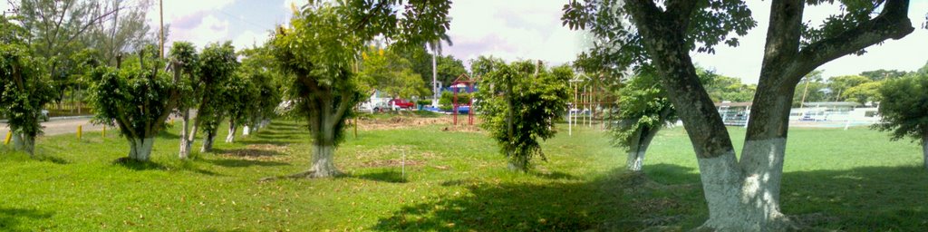jardines de la asosciacion deportiva minatitlan (adm), Минатитлан