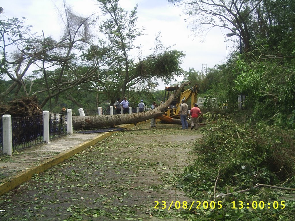 Daños causados por el huracán Dean en los terrenos de la Feria, Папантла (де Оларте)