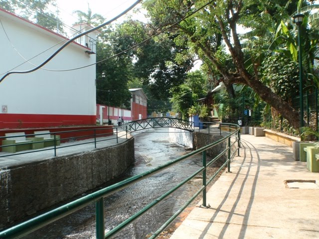 Parque del Tajalate. Los Tuxtlas, Veracruz, Mexico. (Toño Rangel)., Сан-Андрес-Тукстла