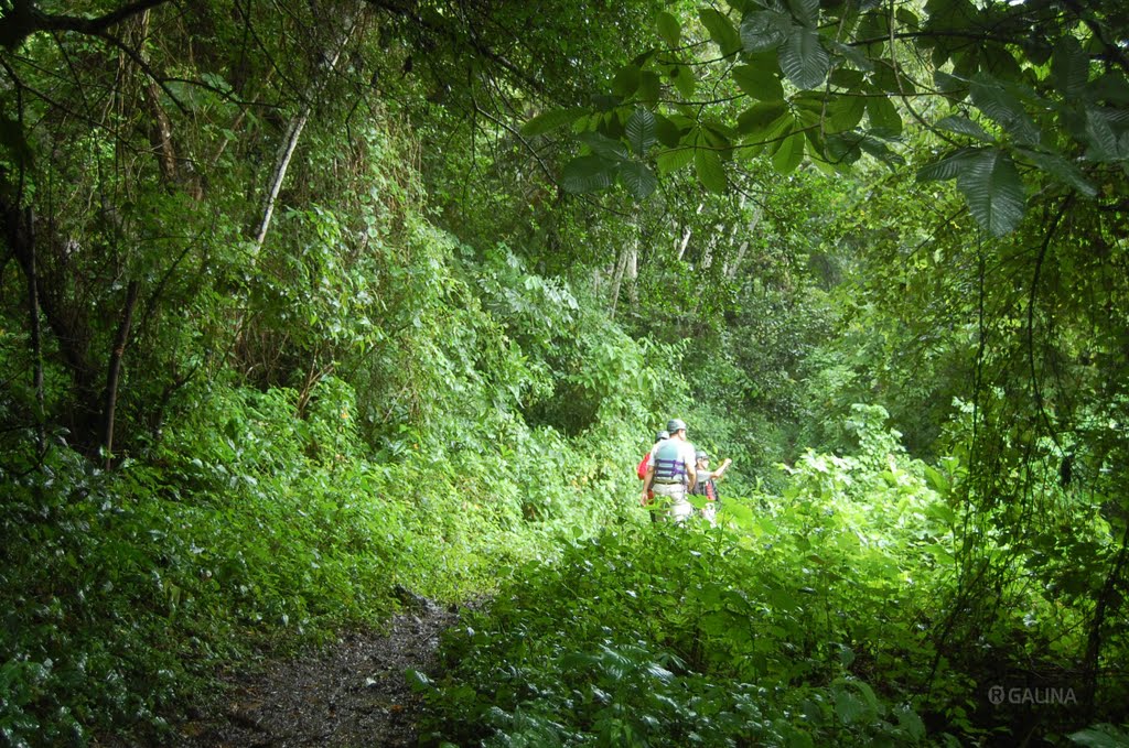 Maquina Vieja rainforest path San Andres Tuxtla, Сан-Андрес-Тукстла