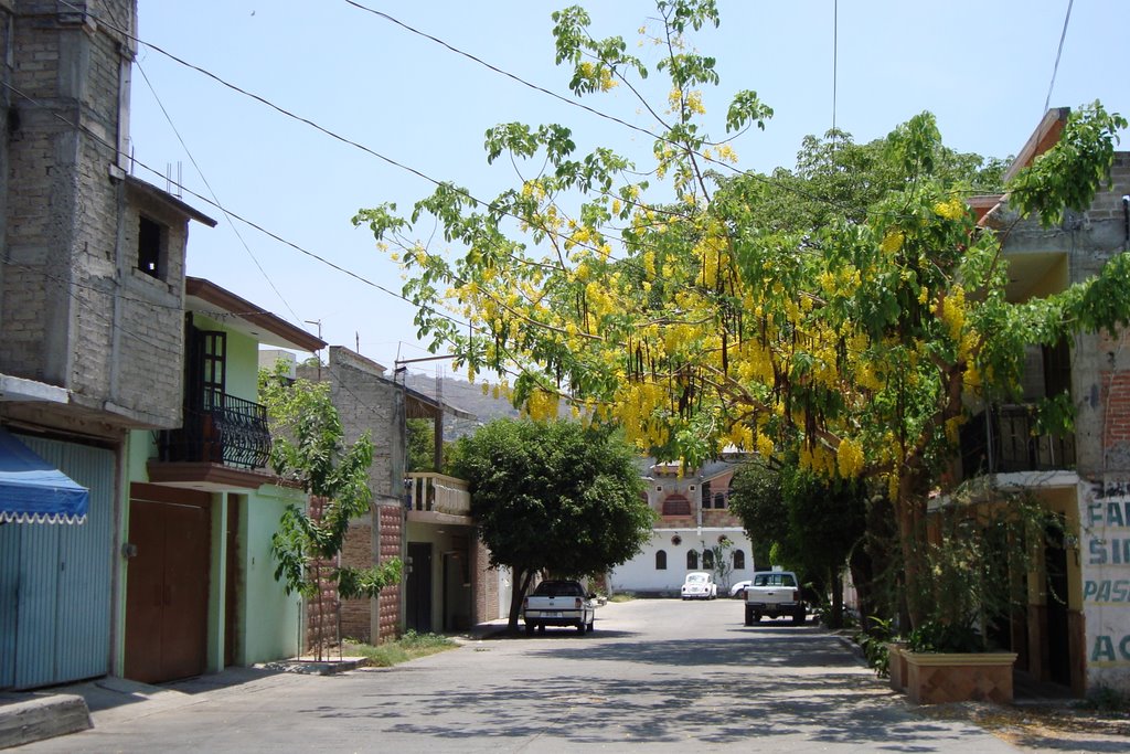calle con lluvia de oro, Игуала