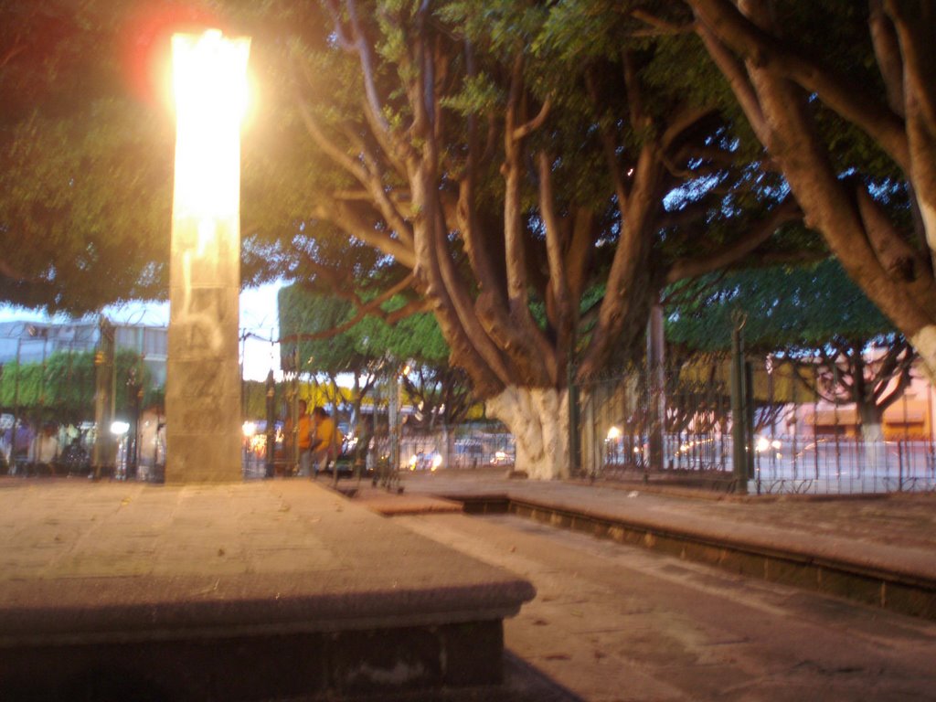 Luminaria., Акамбаро