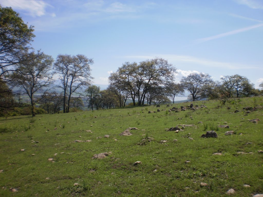 Reserva natural del cerro del Toro, Акамбаро