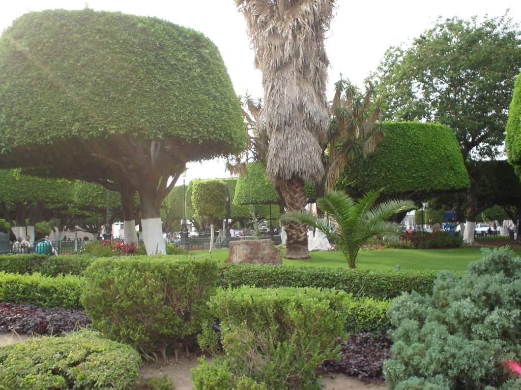 Jardines plaza municipal, Ирапуато