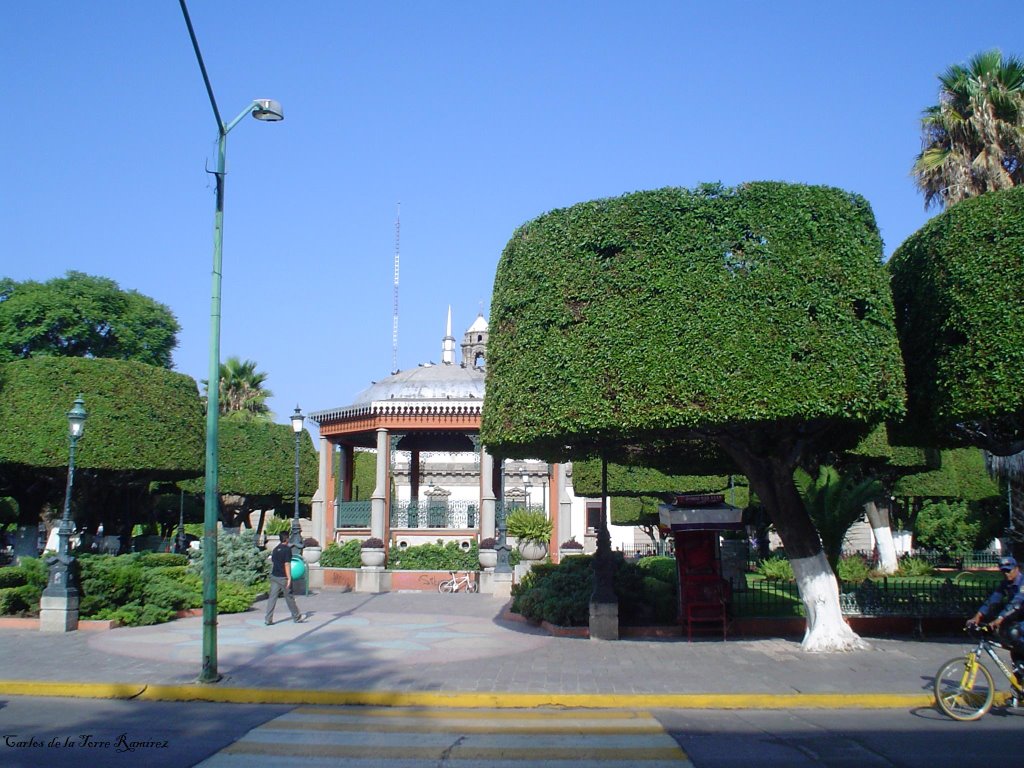 Jardín y Kiosko, Ирапуато