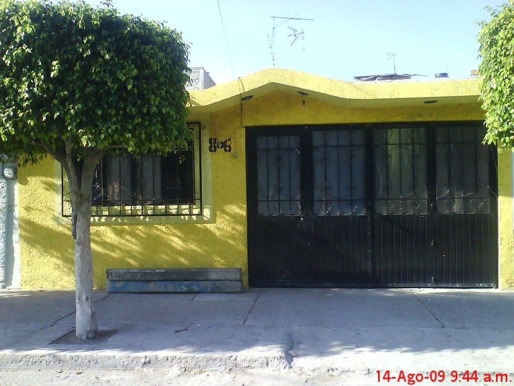 my house, Ирапуато