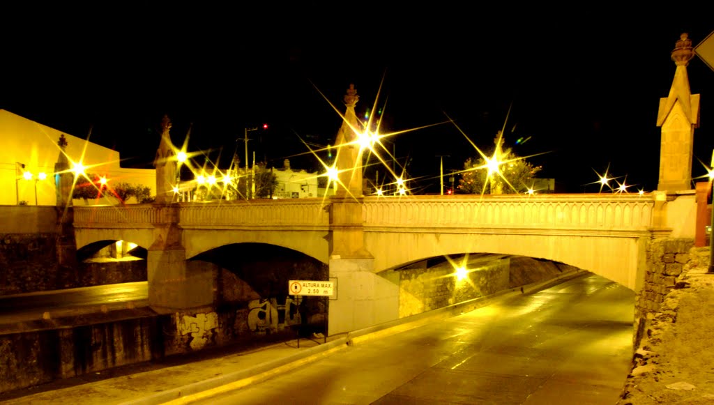 Malecón y Puente del Coecillo por la Noche, Леон (де лос Альдамас)