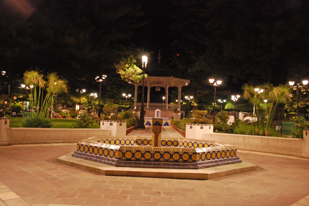 El Jardin de noche (at night), Пенхамо