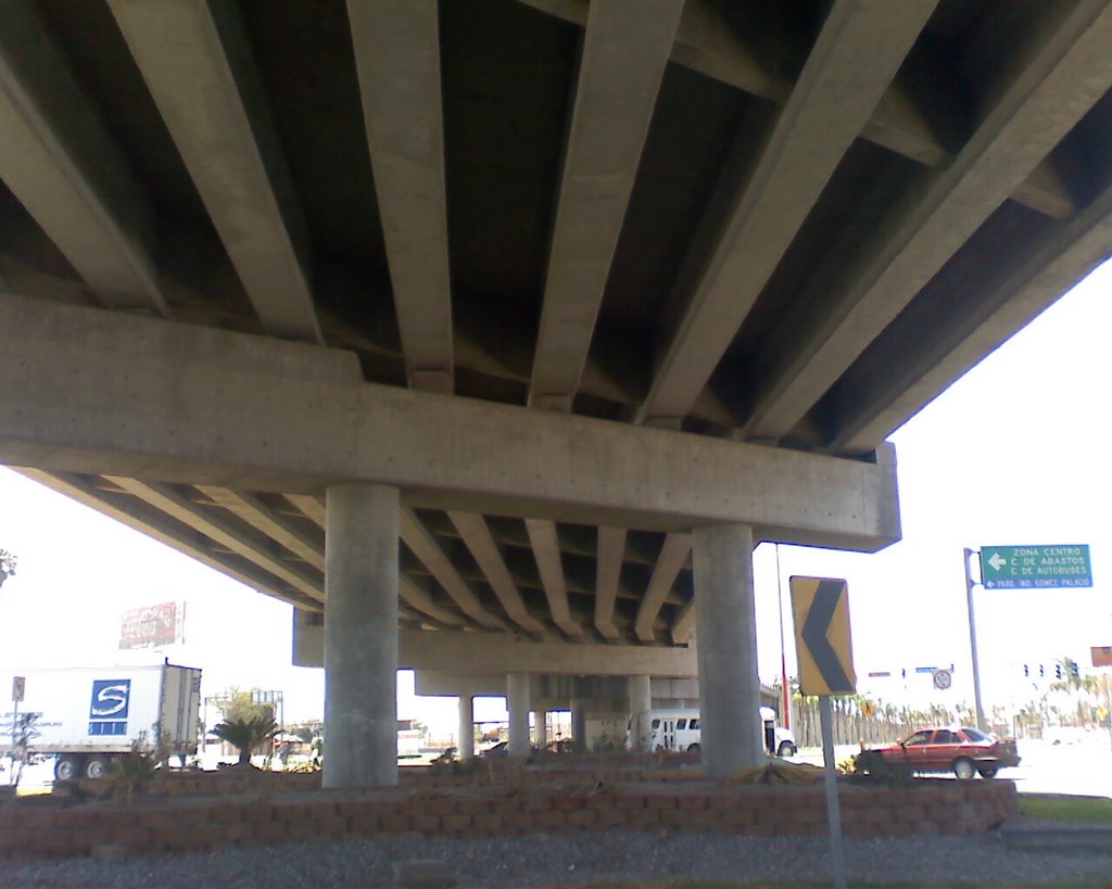 debajo del puente centenario, Гомес-Палацио