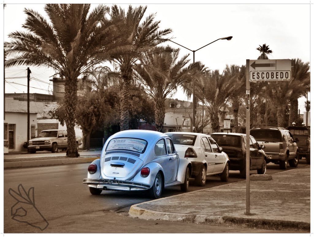 un bocho por agustin castro (a volkswagen beetle on the street), Гомес-Палацио