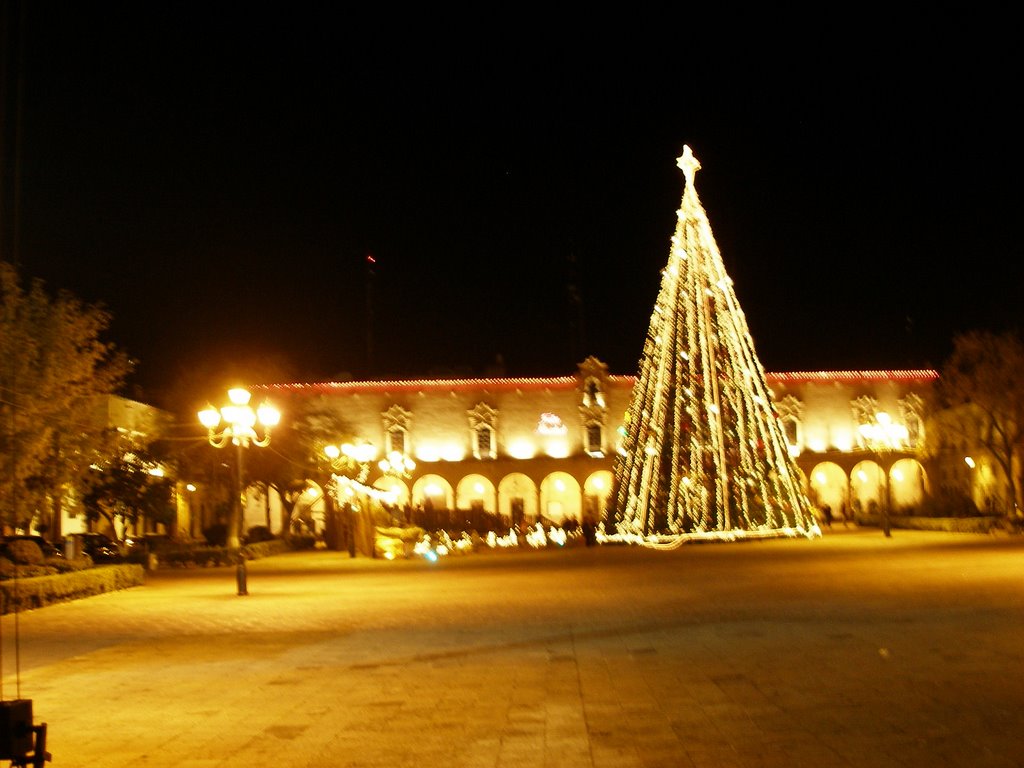 Palacio de Gobierno Durango, de noche., Дуранго