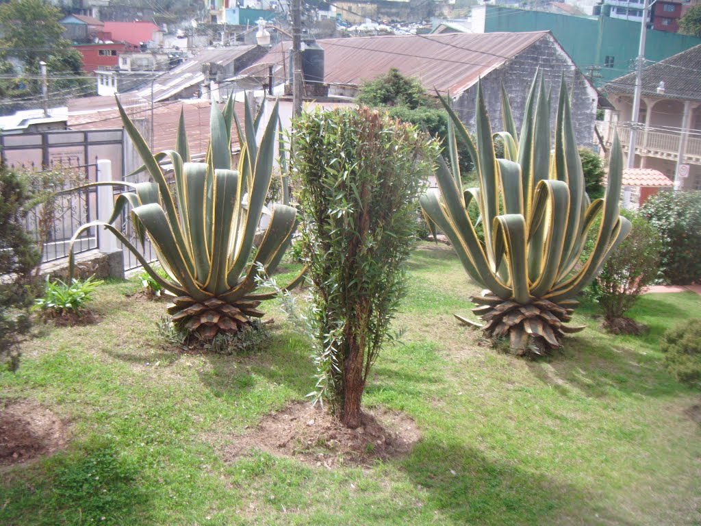 jardin del centro cultural felipe angeles, Иксмикуилпан