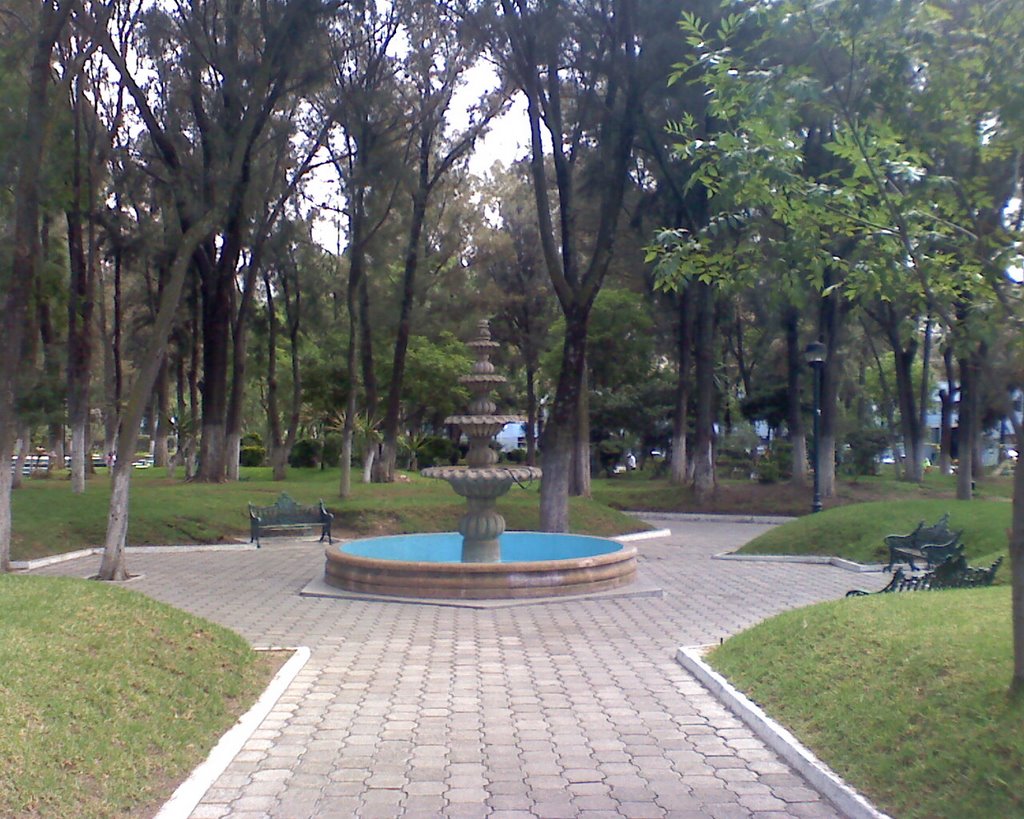 parque pasteur fuente, Пачука (де Сото)