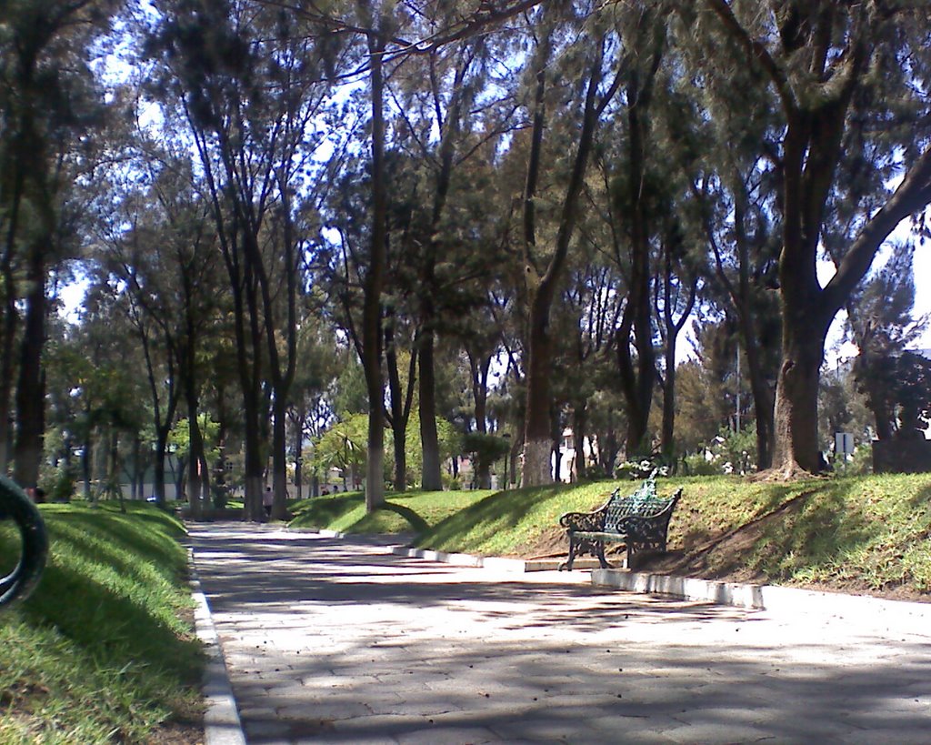 parque pasteur pachuca hidalgo, mexico, Пачука (де Сото)