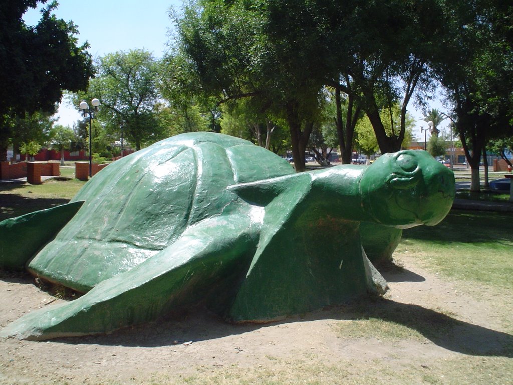 monumento a la tortuga en plaza de la tortuga torreon jardin, Торреон