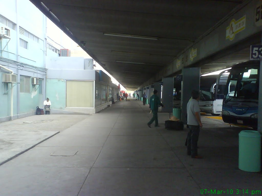central de autobuses de torreon coahuila, Торреон