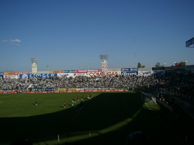 Estadio Corona, Торреон