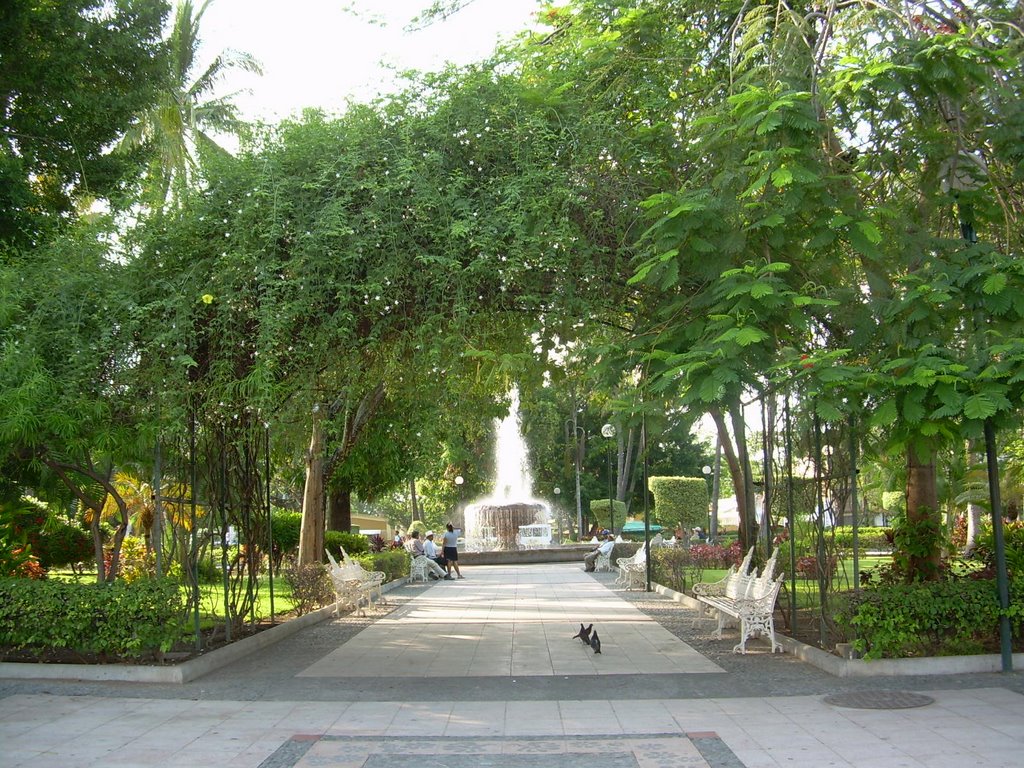 Jardín Núñez, Колима